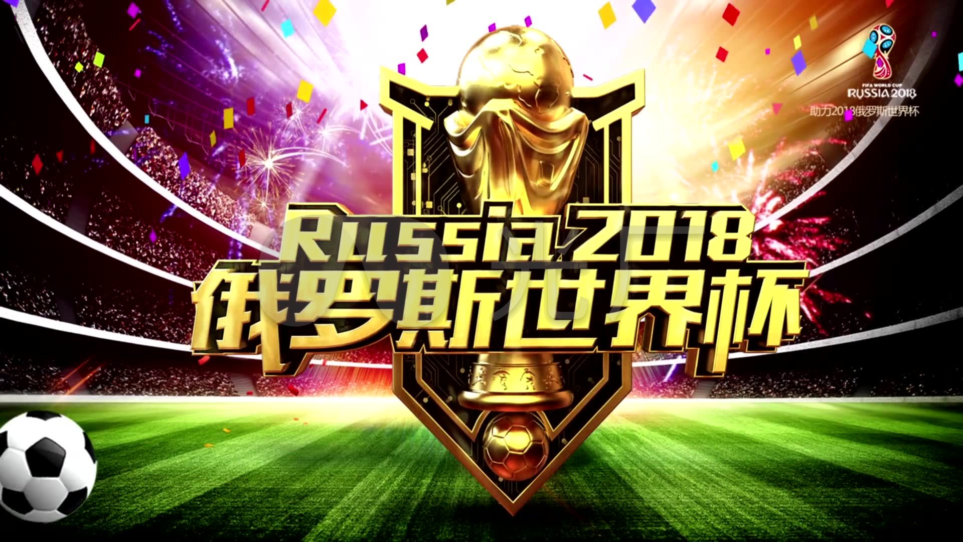 的成长和整